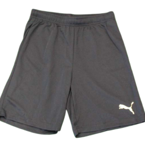 Puma Shorts